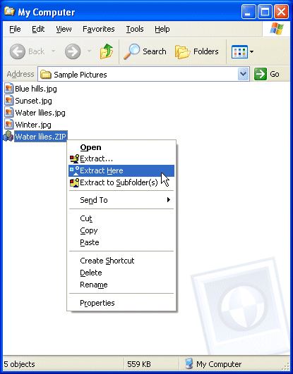 CompreXX is the ideal unzip utility.